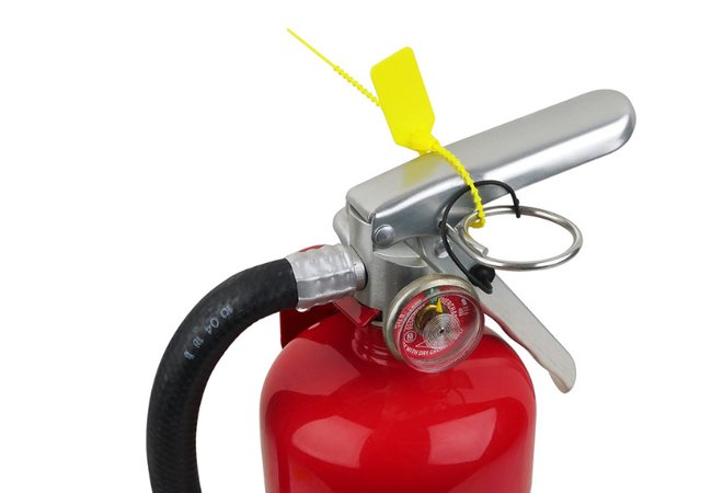 PTB250-Pull Tight Plastic Seals250mm