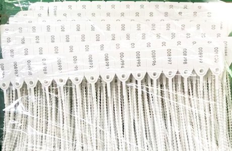 Pull Tight Plastic Seals Marking