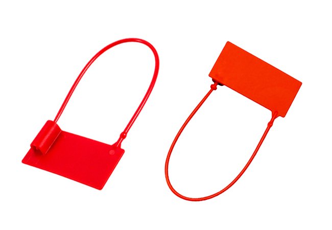 FPS170B-Plastic Seal Lock