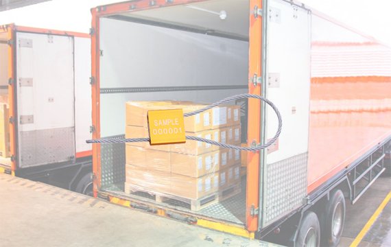 AAC300-Cable Seal For Container1